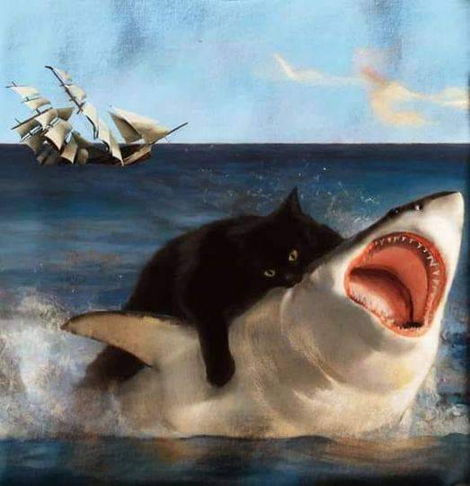 A cat biting the gills of a shark while a tall ship sinks in the background.